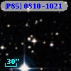 [P85] 0810-1021