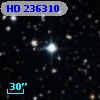 HD 236310