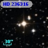 HD 236316