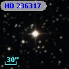 HD 236317