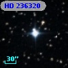 HD 236320
