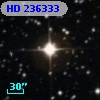 HD 236333