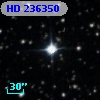 HD 236350