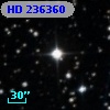 HD 236360