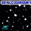 Cl* NGC 2539    CLM       1