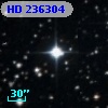 HD 236304