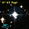 V* XY Pup