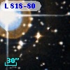 L  818-80