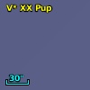 V* XX Pup