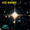 HD  66989