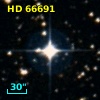 HD  66691