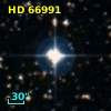 HD  66991