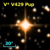 V* V429 Pup