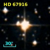 HD  67916