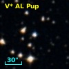 V* AL Pup
