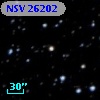 NSV 26202