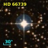 HD  66739