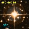 HD  66786