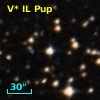 V* IL Pup