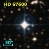HD  67600