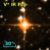 V* IR Pup