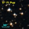 V* FI Pup