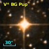 V* BG Pup