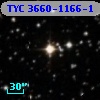 TYC 3660-1166-1