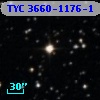 TYC 3660-1176-1