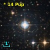 *  14 Pup