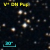 V* DN Pup