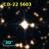 CD-22  5603