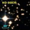 HD  66836