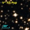 V* FG Pup