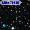LEDA   79565