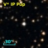 V* IP Pup