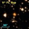 V* FL Pup