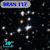BRAN 117