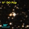 V* DO Pup