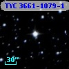 TYC 3661-1079-1