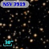 NSV  3919