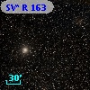 SV* R   163