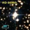 HD  66960