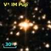 V* IM Pup