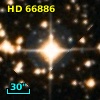 HD  66886