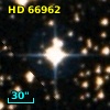 HD  66962