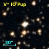 V* IO Pup
