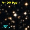 V* DM Pup