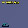 V* V539 Pup