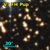 V* FH Pup